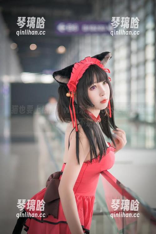 猫也要上热搜，w黑米粥wcos更新，让人忍俊不禁！