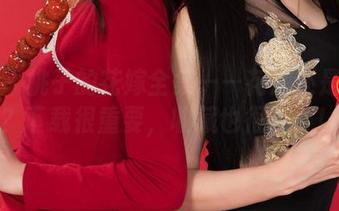 丽柜 – 桃子的花嫁全集——花嫁还是花瓶？下载很重要，收藏也很重要！
