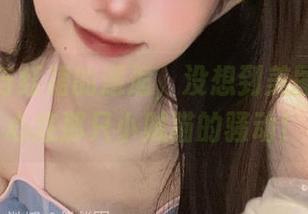 倦倦喵与红裙的邂逅，没想到美图能引起心底那只小贼猫的骚动！