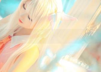 猫君君MaoJun在图库里追逐他的秘密影像