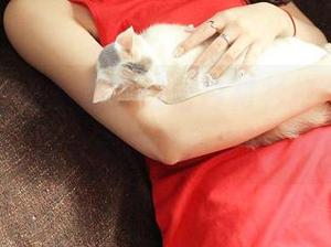 青豆客 – 小紫藤在线给白衬衫打个分，资源分享等着你来追！